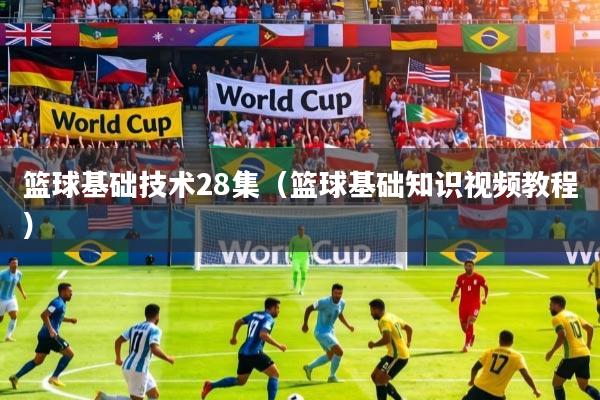 篮球基础技术28集(篮球基础知识视频教程)