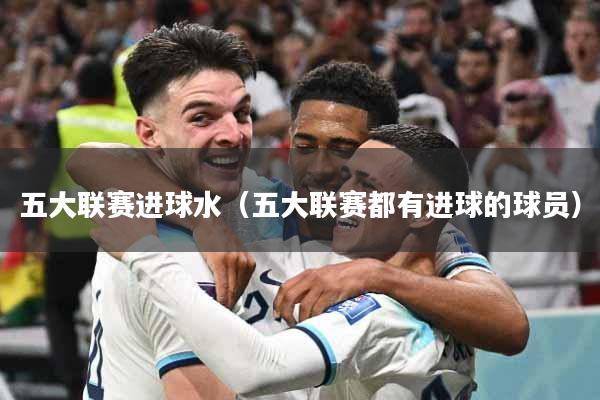 五大联赛进球水（五大联赛都有进球的球员）