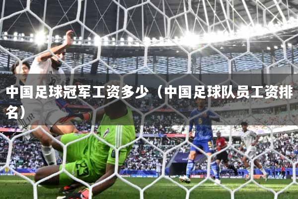 中国足球冠军工资多少（中国足球队员工资排名）