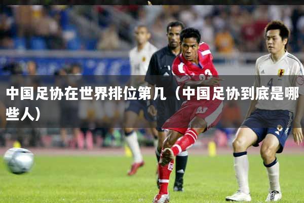 中国足协在世界排位第几（中国足协到底是哪些人）
