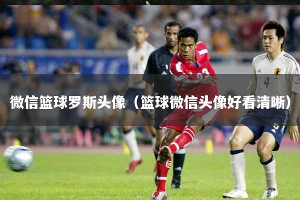 微信篮球罗斯头像（篮球微信头像好看清晰）