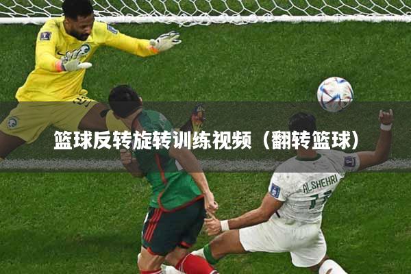 篮球反转旋转训练视频（翻转篮球）