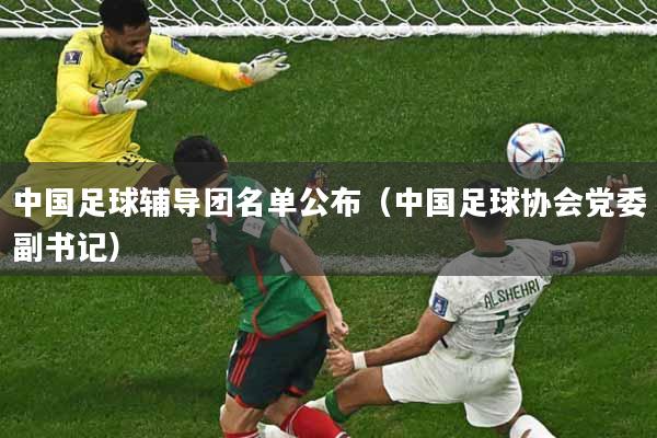中国足球辅导团名单公布（中国足球协会党委副书记）